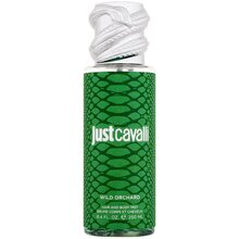 Just Cavalli