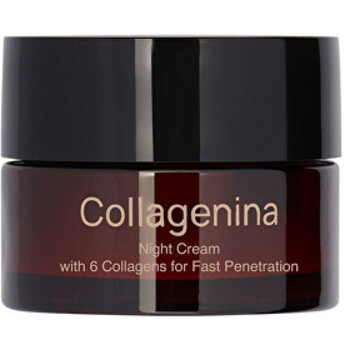 Night Cream