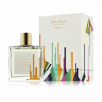 Soufflot EDP