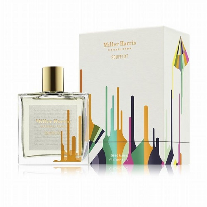 Soufflot EDP